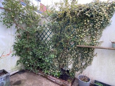 MAISON A LOUER - MOUVAUX - 50 m2 - 863 € charges comprises par mois