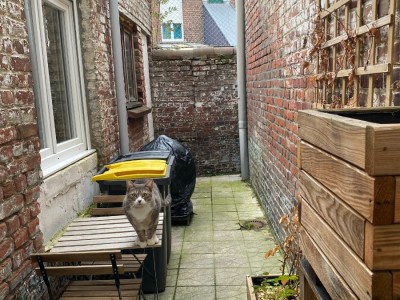 MAISON - TOURCOING - 83 m2 - LOUÉ