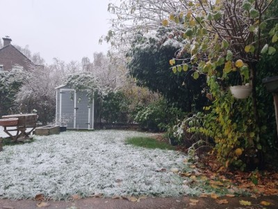 MAISON A VENDRE - VILLENEUVE D ASCQ - 98 m2 - 378000€