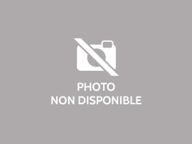 APPARTEMENT T2 A LOUER - LILLE - 30 m2 - 1100€ charges comprises par mois