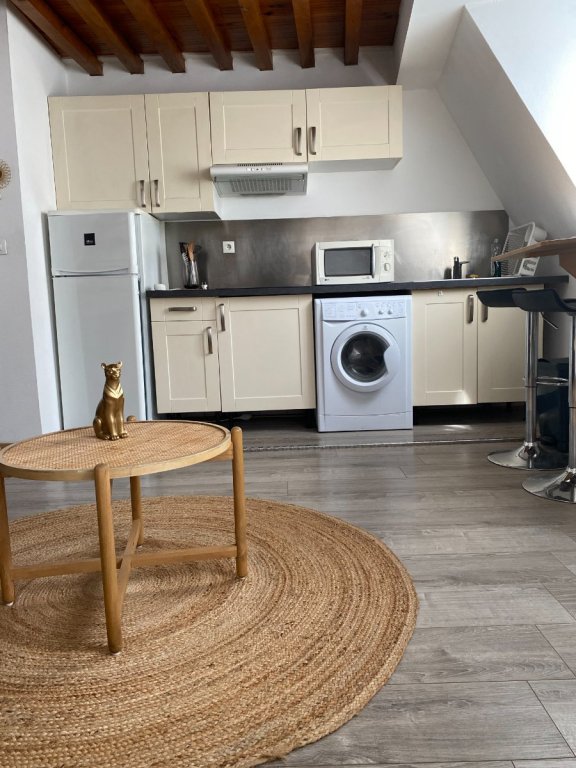 STUDIO A LOUER - LILLE - 24 m2 - 750 &euro; charges comprises par mois