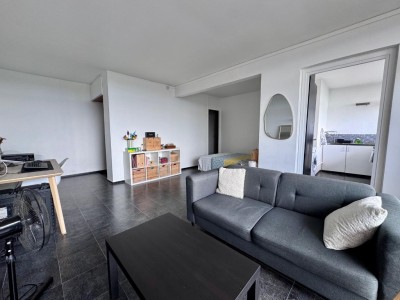 APPARTEMENT T1 A VENDRE - CROIX - 40.9 m2 - 123000€