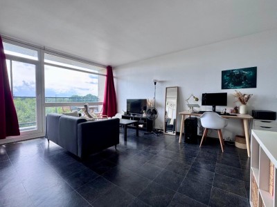 APPARTEMENT T1 A VENDRE - CROIX - 40.9 m2 - 123000€