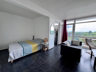 APPARTEMENT T1 A VENDRE - CROIX - 40.9 m2 - 123000€