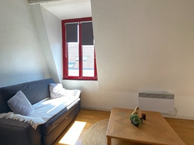 APPARTEMENT T2 A LOUER - LILLE - 32 m2 - 890€ charges comprises par mois