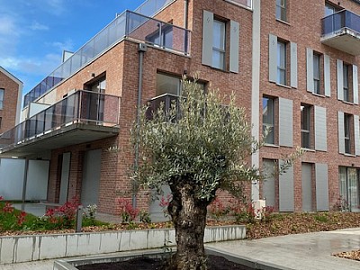 APPARTEMENT MOUVAUX