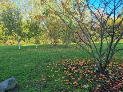 APPARTEMENT T4 - WASQUEHAL - 86 m2 - 374000€